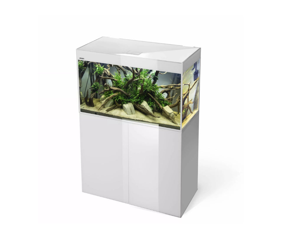 Aquael Glossy 80 White 80X35X54h cm - 125 lt bianco - Acquario Completo di  illuminazione a Led