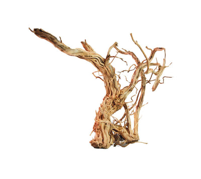 amtra dragon skin legno decorazione acquario www.acquariodisofia.it