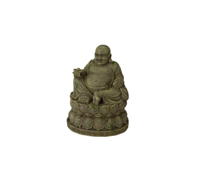 ebi statua buddha grasso acquario www.acquariodisofia.it